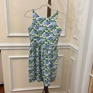 Polo by Ralph Lauren Floral Dress - Blue and Green